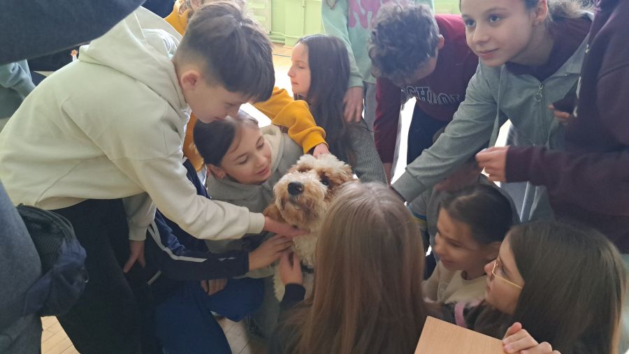 Zbiórka dla Burusia i Burka